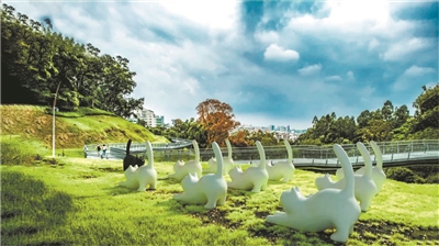 走在云道，看花看展看AR